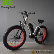 Newest Design Powerful Electric Bicycle